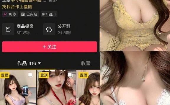 小猫困困 – 微密圈写真&视频合集【持续更新中】