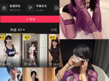 雪顶 – 岛遇/微密圈等写真&视频合集【持续更新中】